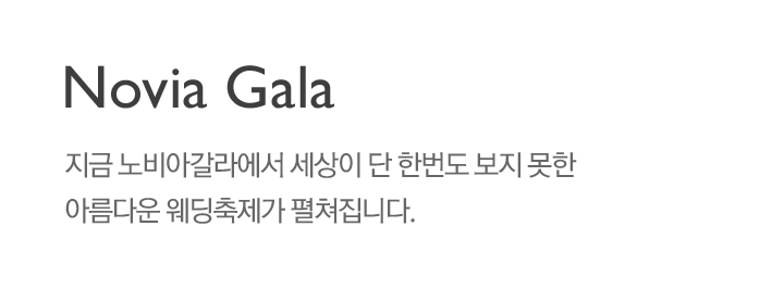 노비아 갈라 : 지금 노비아갈라에서 세상이 단 한번도 보지 못한 아름다운 웨딩축제가 펼쳐집니다.