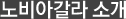 노비아갈라 소개
